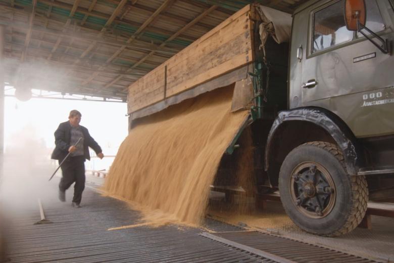 В среду в интервенционный фонд РФ закупили более 1,7 тыс. тонн зерна